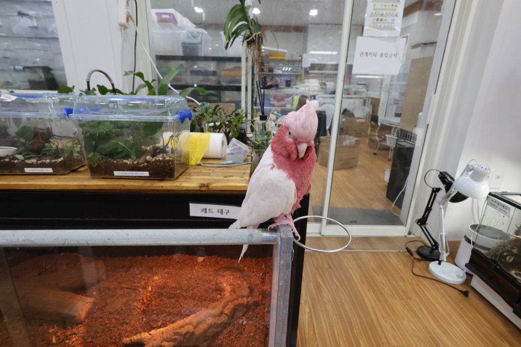 부산 기장 팬크레 외관, 알록달록한 색감의 유니크한 건물