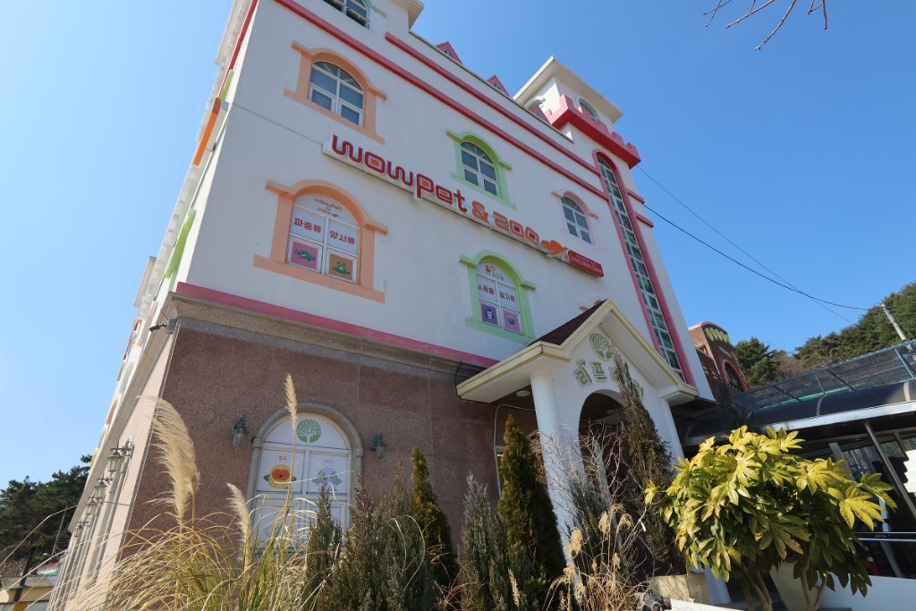 팬크레의 파충류 전시 구역, 다양한 도마뱀과 이구아나