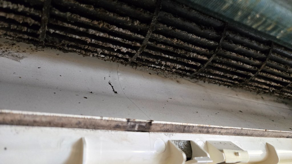 오염이 심한 에어컨 내부 상태