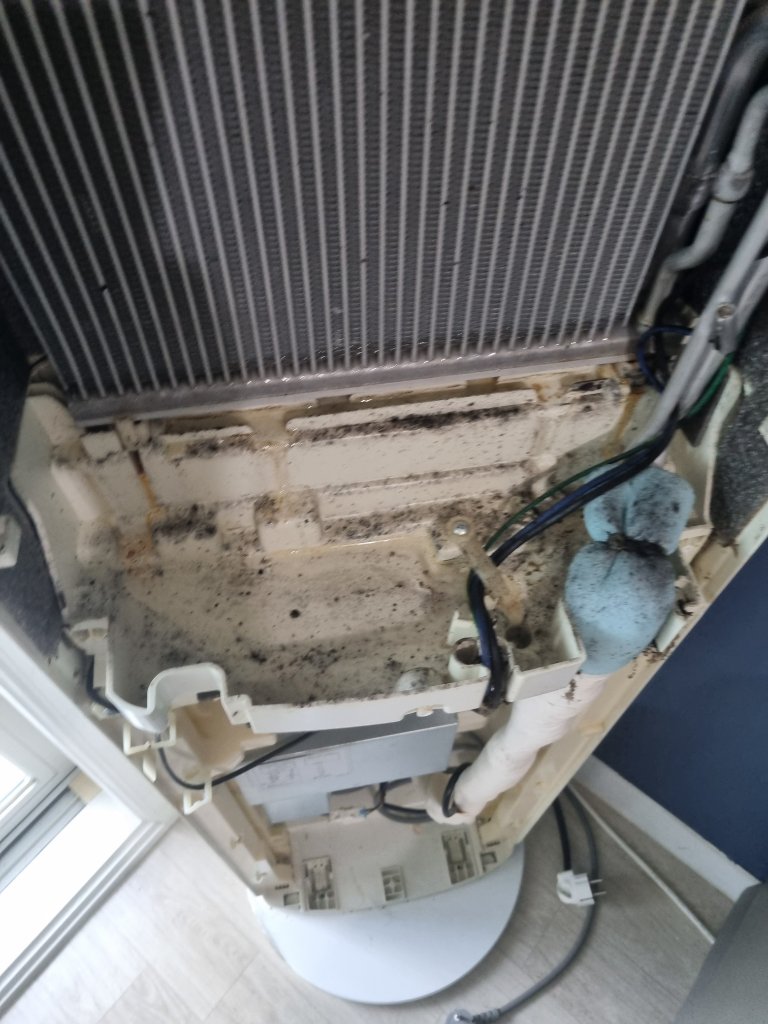 송풍팬과 팬 날개의 곰팡이 오염 상태