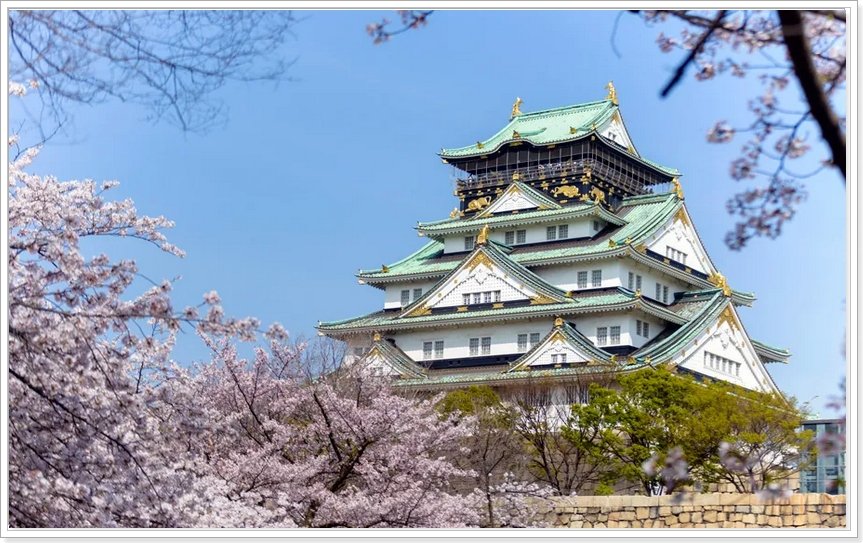 약 3천 그루 벚나무로 뒤덮인 오사카성