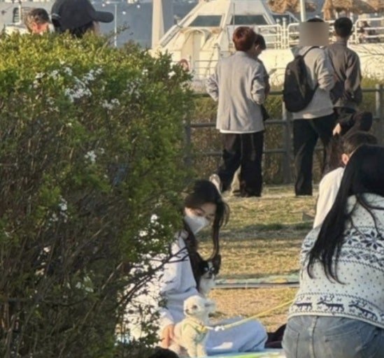 한강 데이트를 즐기는 연인들의 일반적인 모습