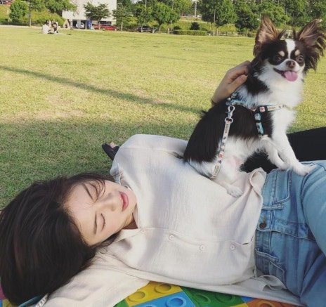 이광수와 이선빈의 장기 연애 기념 이미지