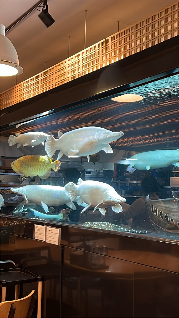 애월항 앞 활어 횟집의 신선한 활어 수족관