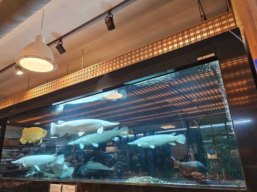 제주도 활어 횟집의 정성스러운 코스 요리