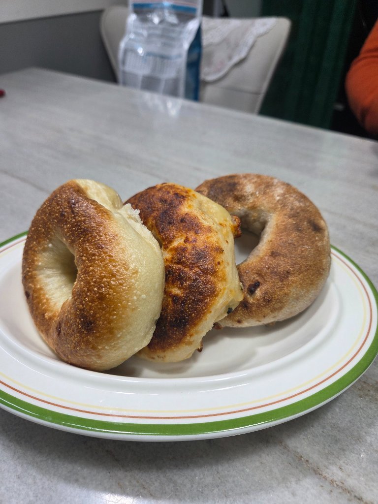 플레인과 트리플치즈 베이글 비교