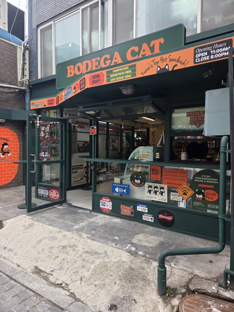 보데가캣 외관과 고양이 벽화가 특징인 을지로 위치의 가게 입구